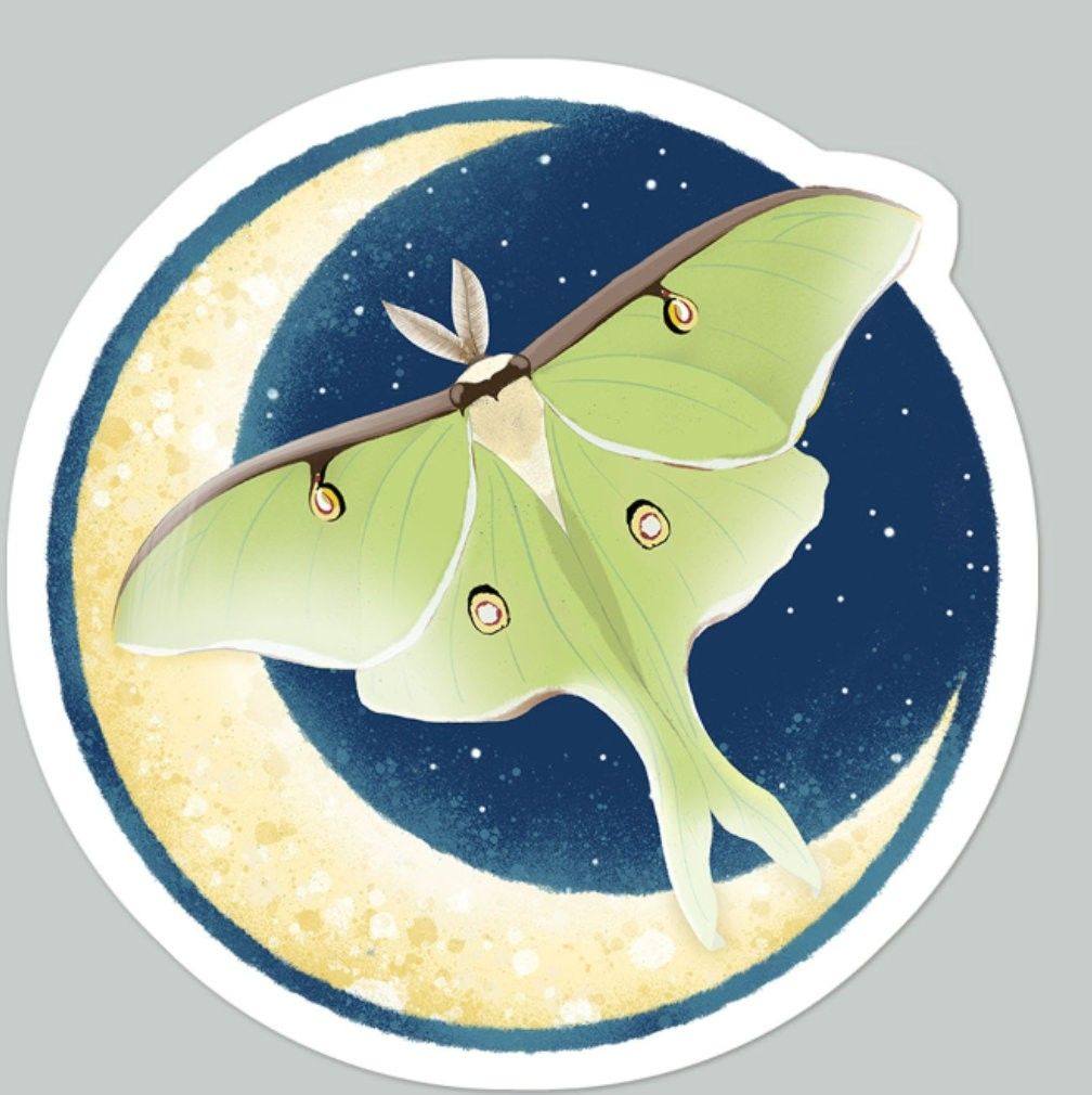 Moth on the Moon Logo